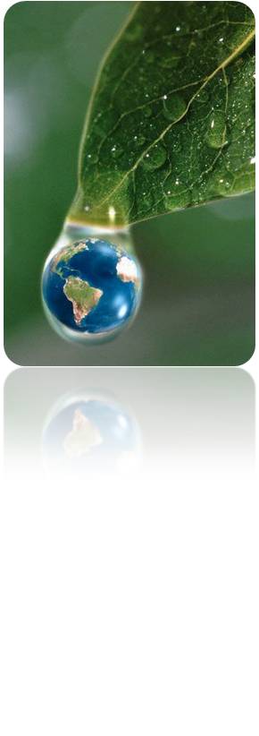 Protec&ccedil;&atilde;o